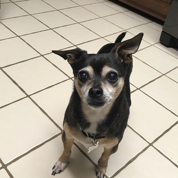 Meet your Posher, Diane - Picture 2 of 7